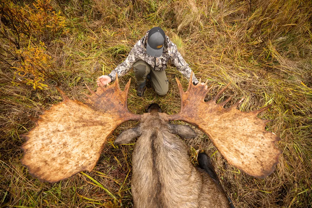 DIY Alaska Moose Hunts