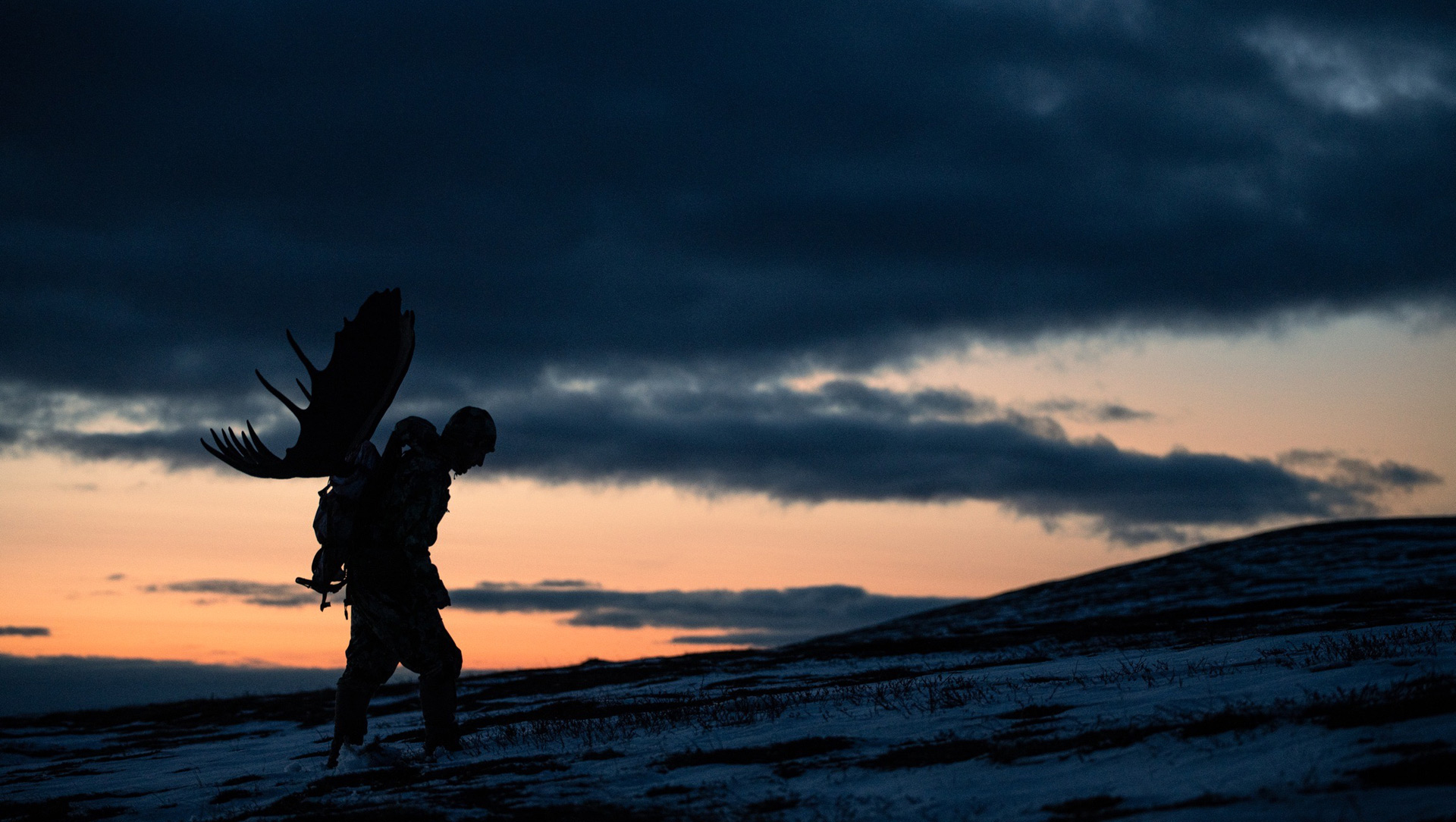 Self Guided DIY Moose Hunts In Alaska With Gods Country Aviation